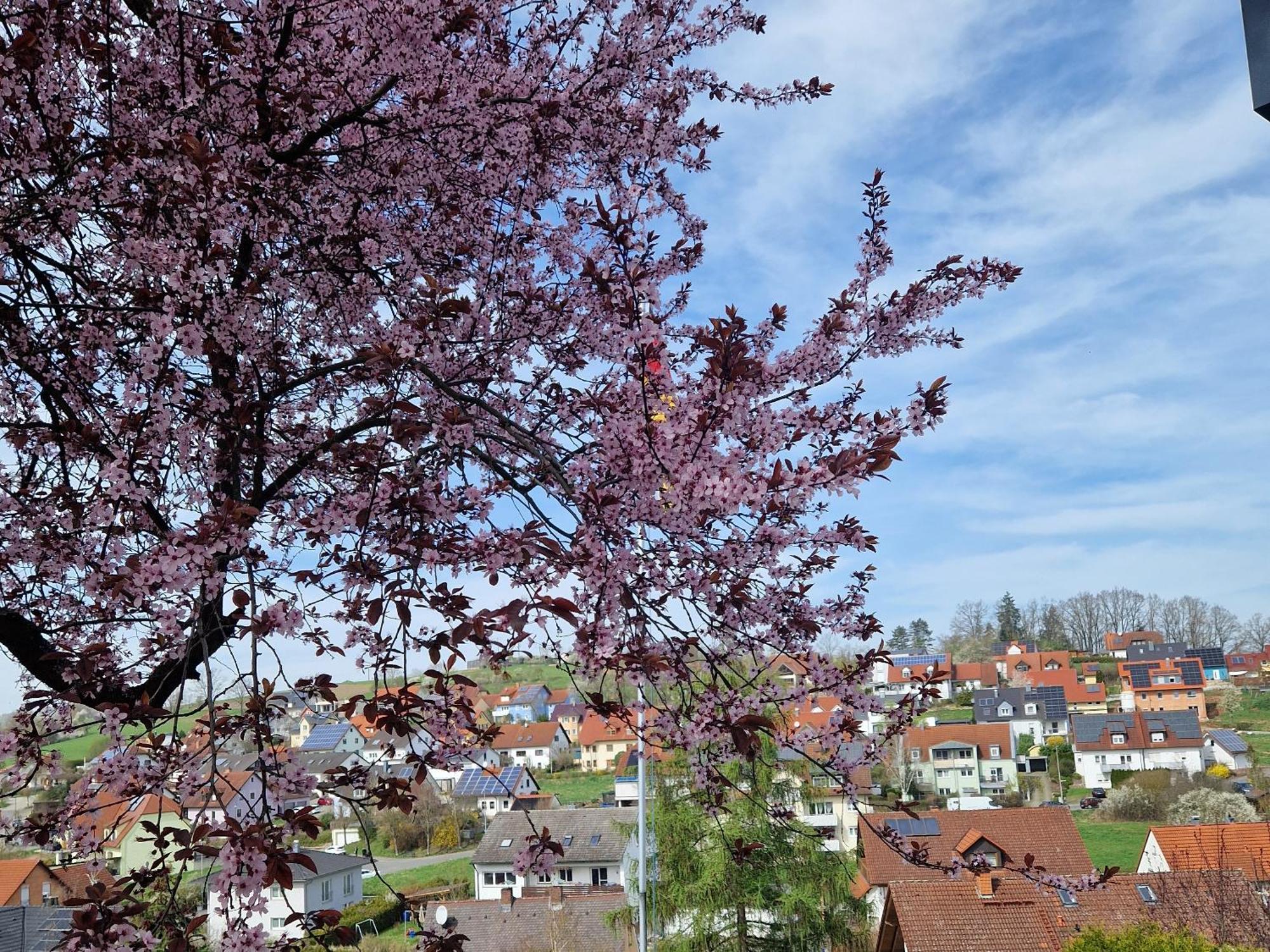 Ferienwohnung Wachter In Viereth Mit Tollem Ausblick Стая снимка